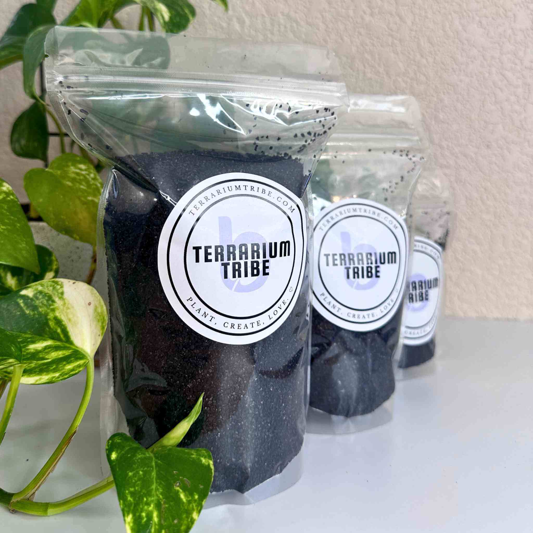 coconut activated charcoal for terrariums
