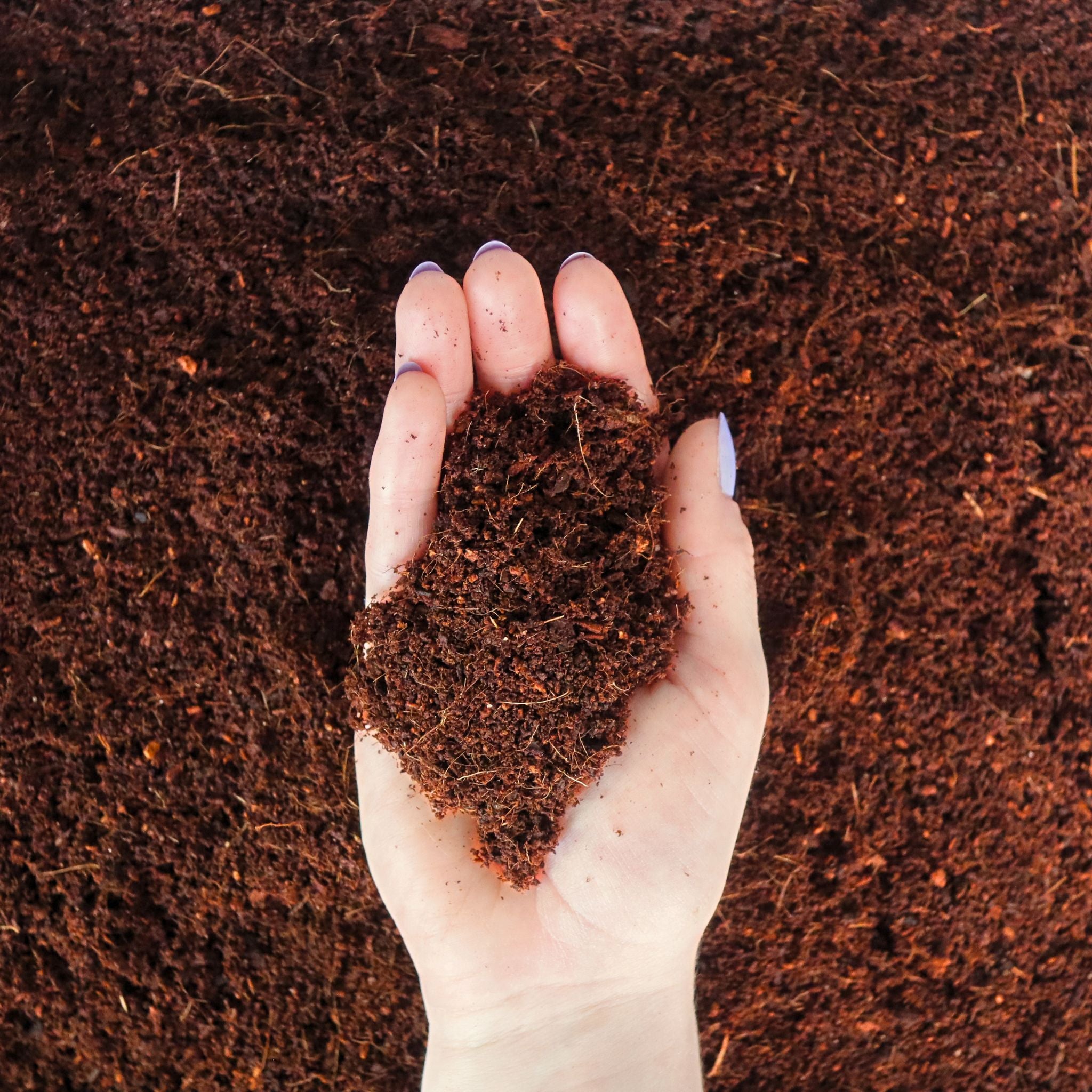 Coco Coir Fiber (Loose)