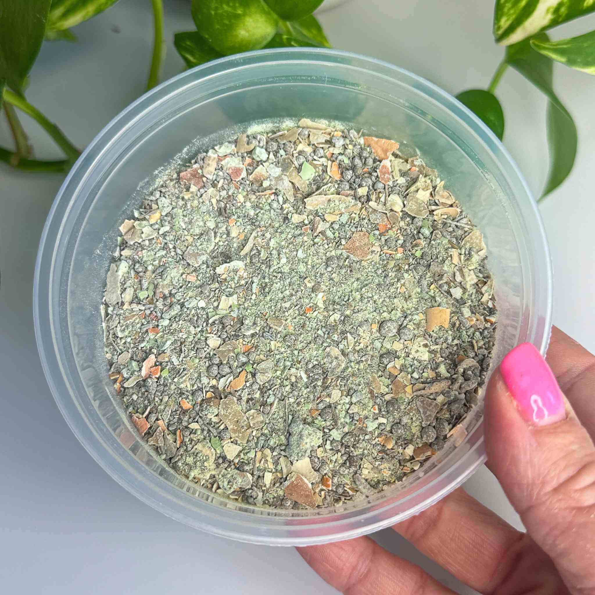 isopod superfood pot