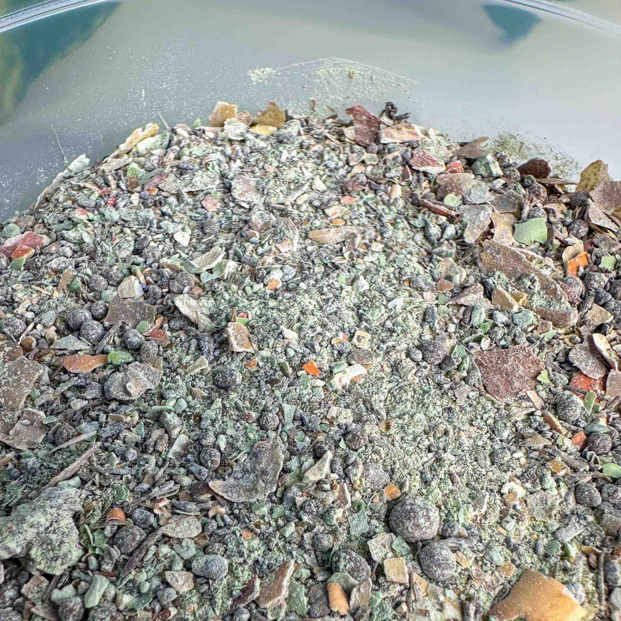 isopod superfood pot