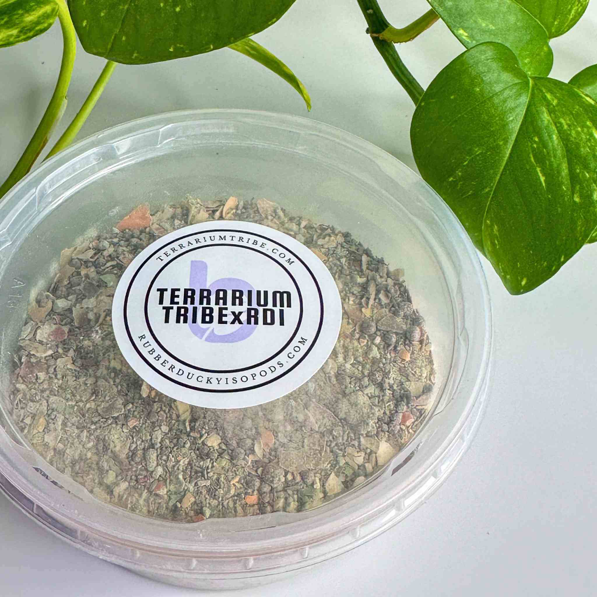 isopod superfood pot