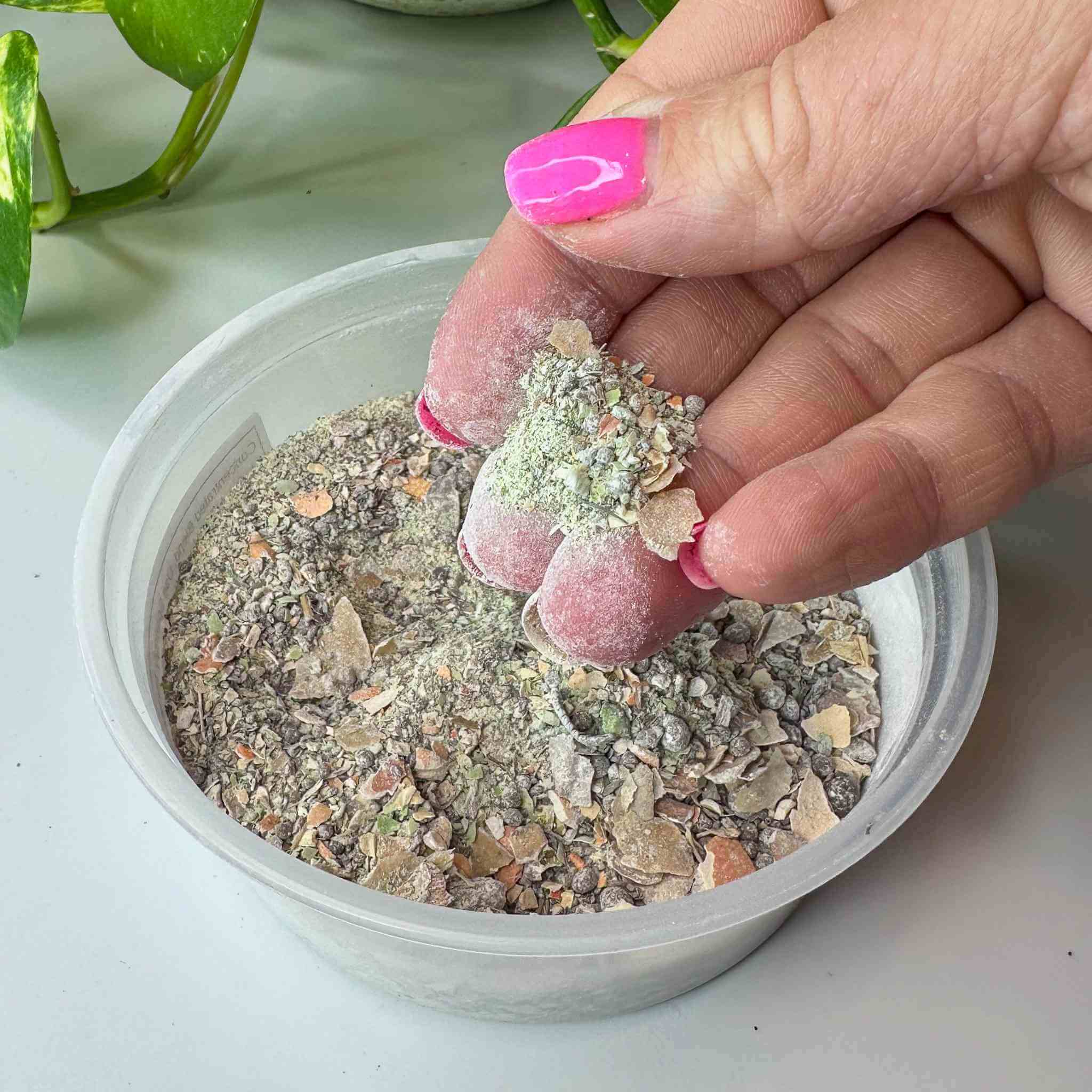 isopod food powder