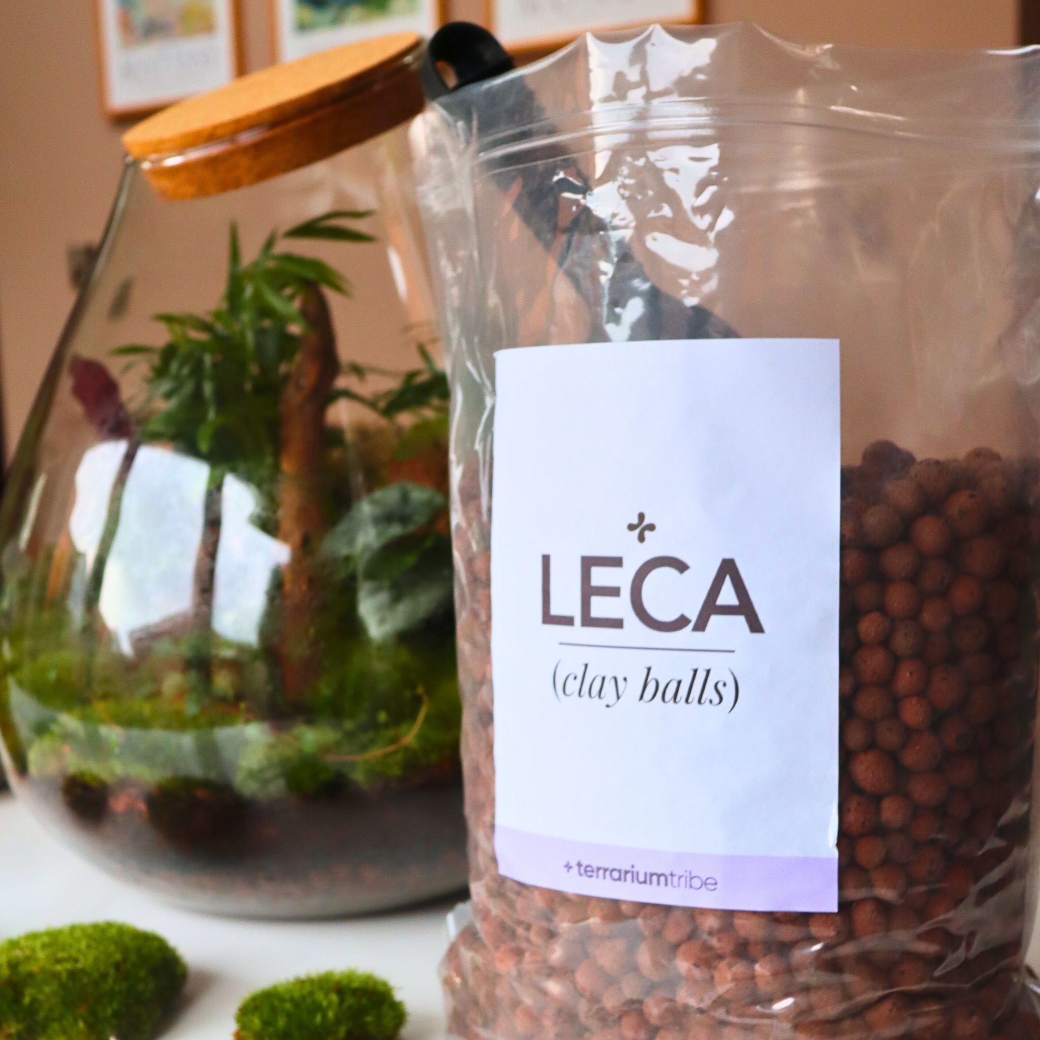 LECA Clay Balls