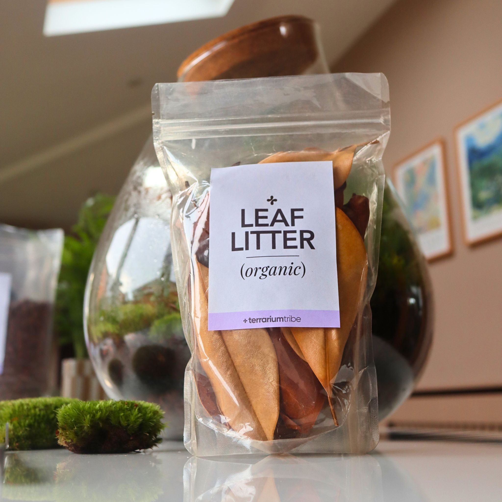 Magnolia Leaf Litter