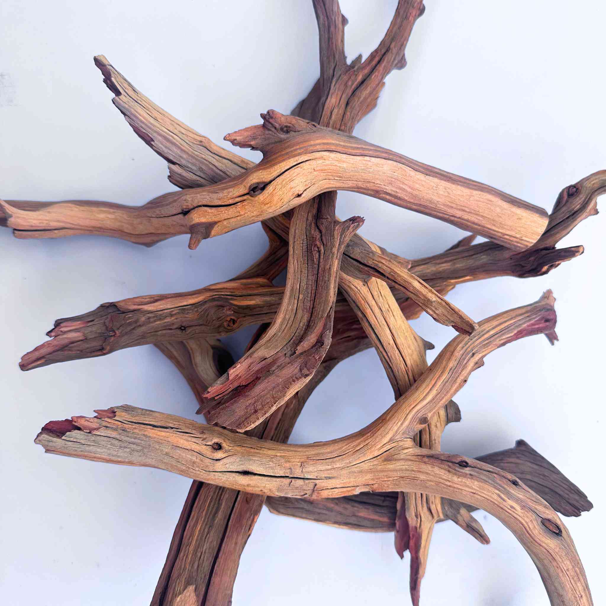 Beautiful Twisted Manzanita Branch Wood for Woodworking Projects selling