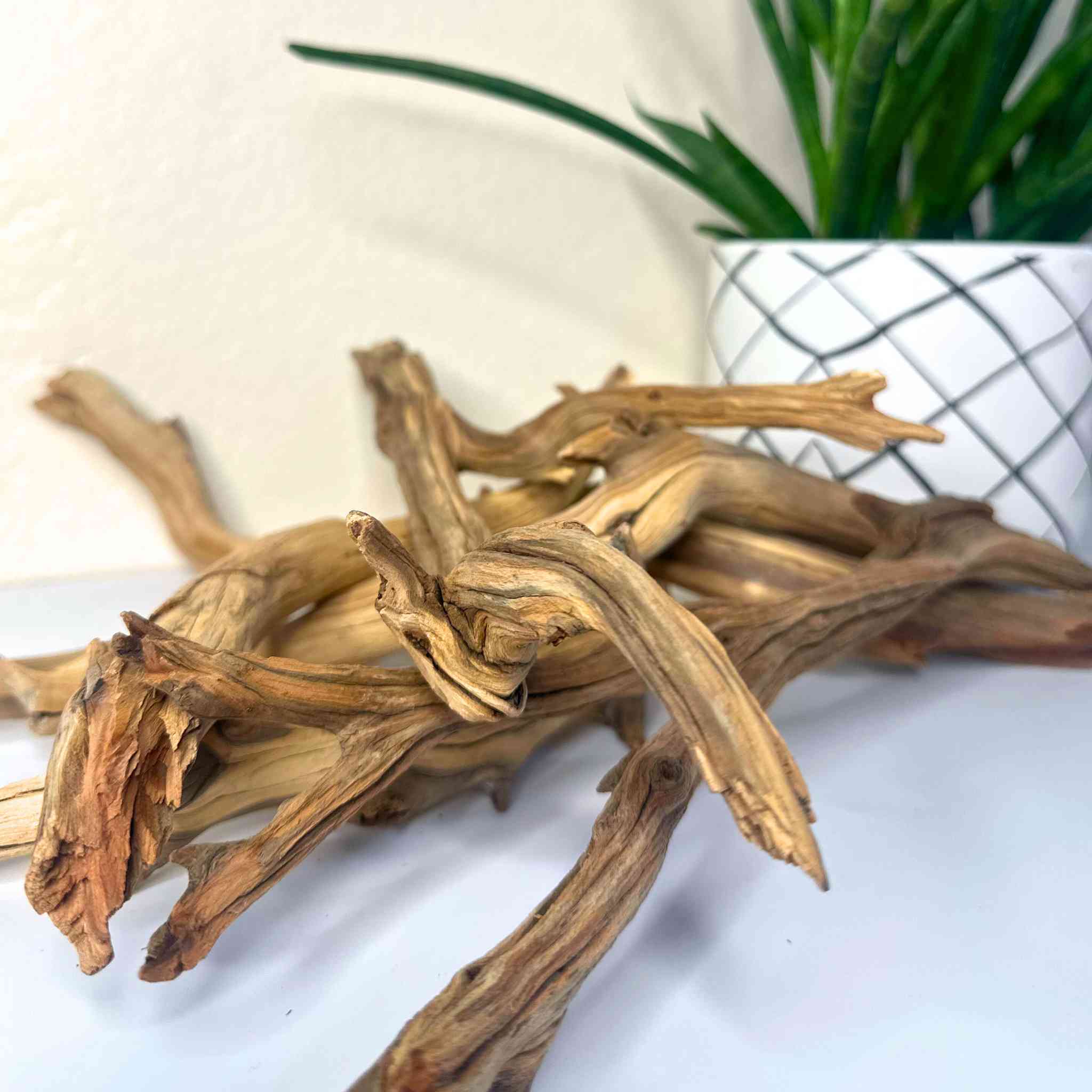 Manzanita Wood Branch