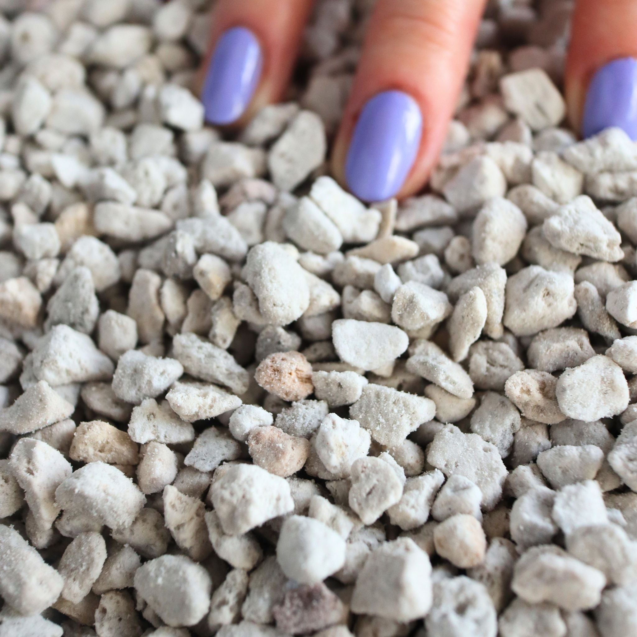 Pumice (Coarse Grade)
