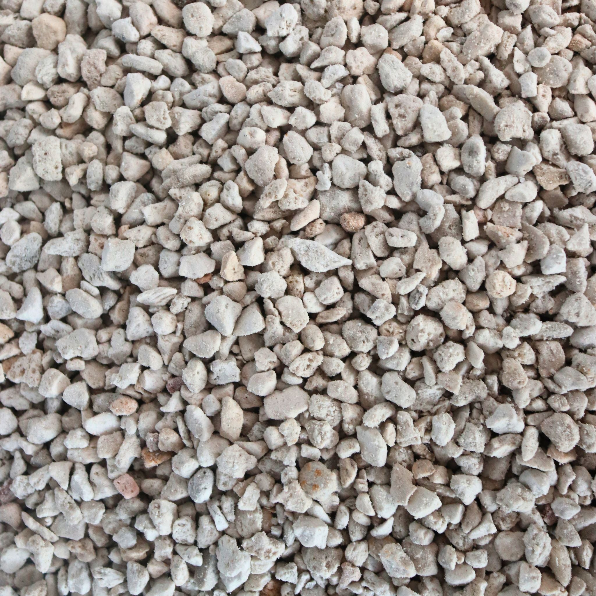 Pumice (Coarse Grade)
