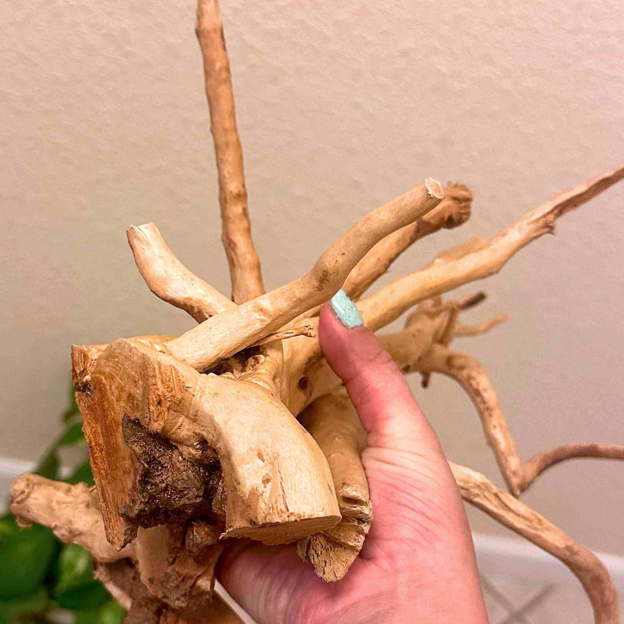 Spiderwood Driftwood Branch