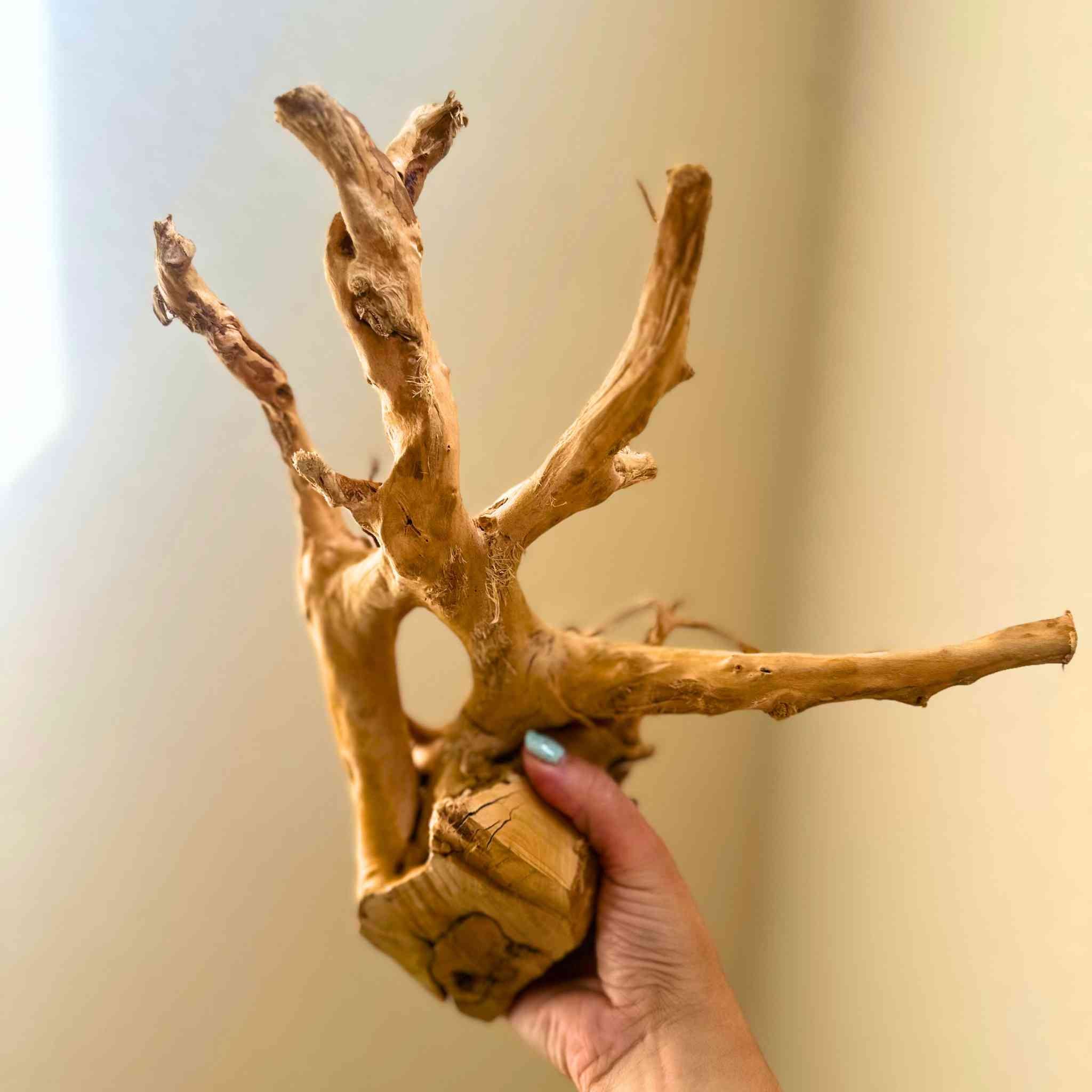 Spiderwood Driftwood Branch