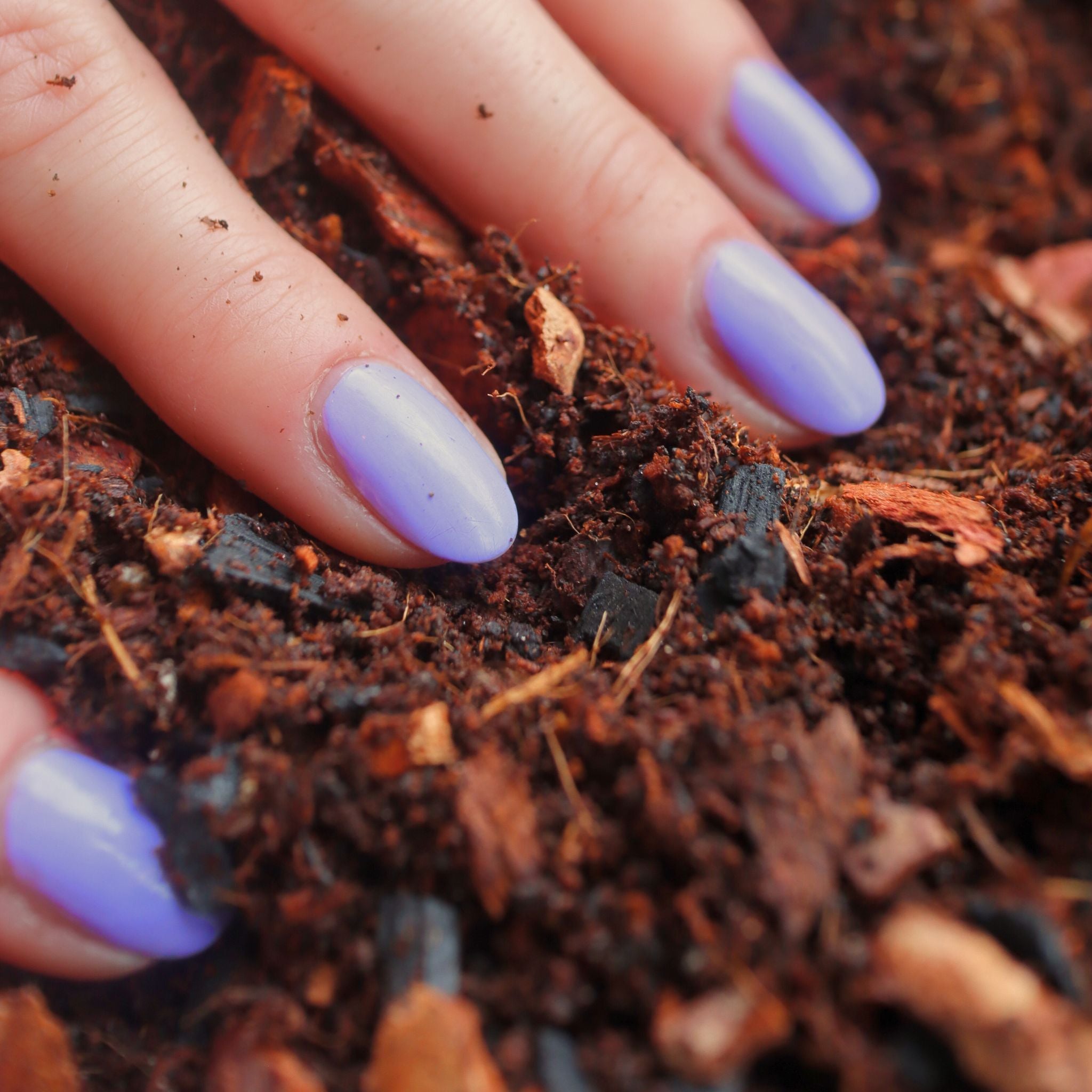 Terrarium Substrate Mix (Premium Blend)