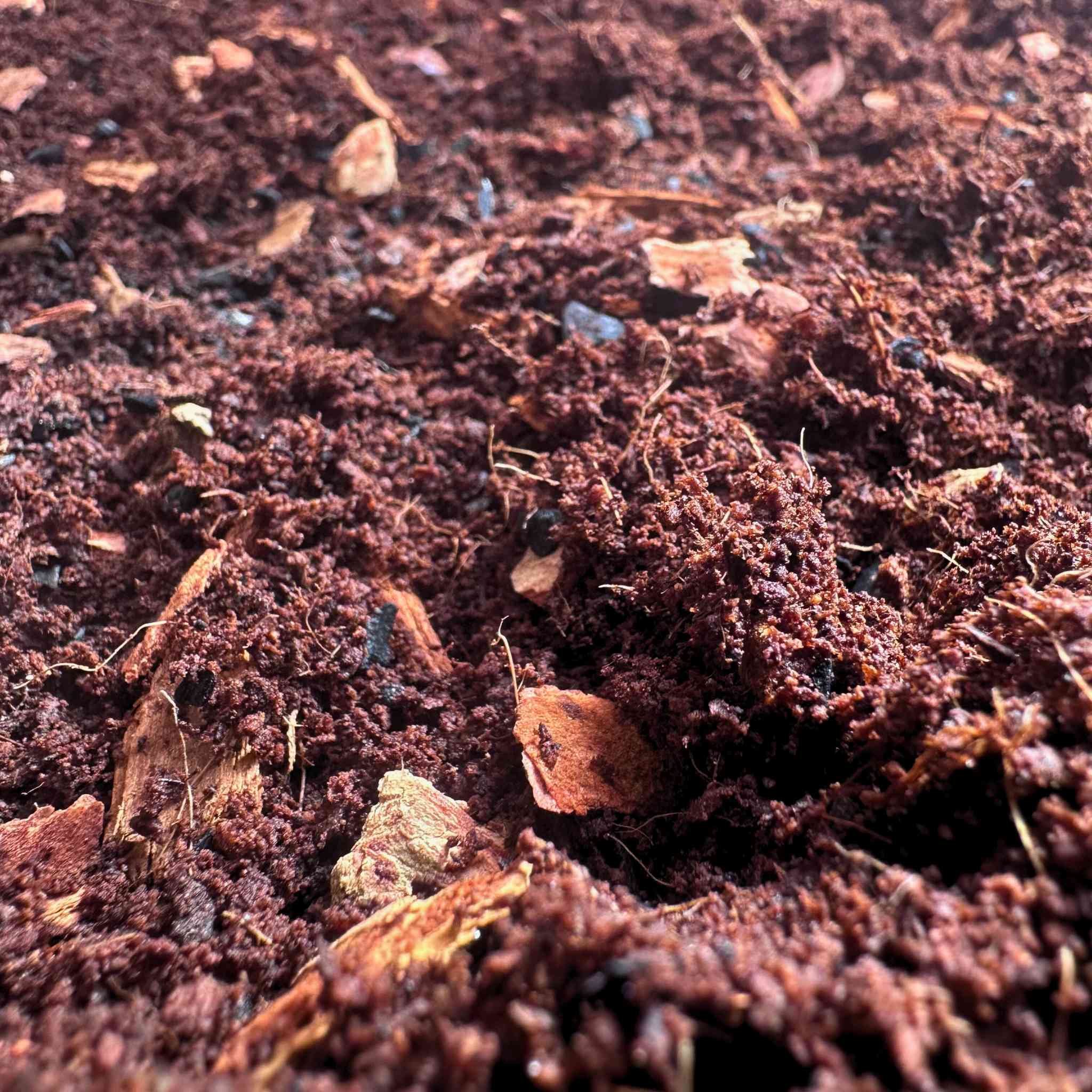 Terrarium Substrate Mix (Premium Blend)