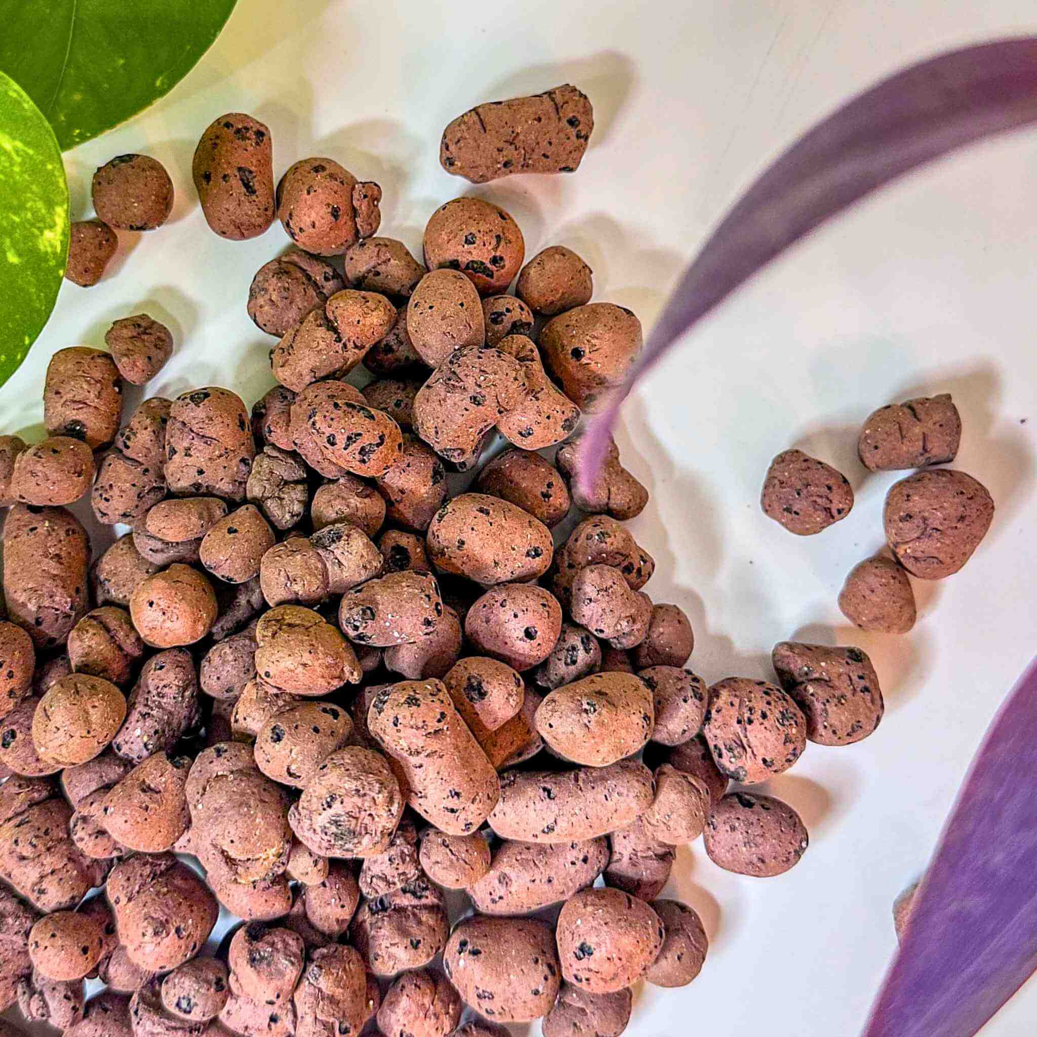 leca clay balls