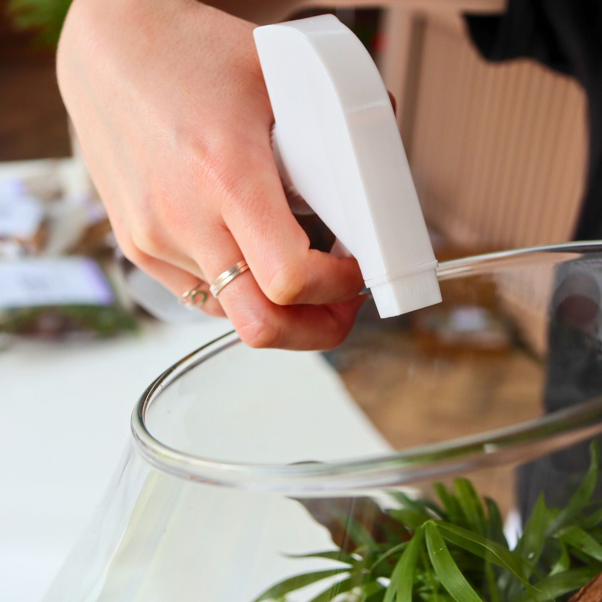 Terrarium Spray Bottle (16oz) | Amber Glass