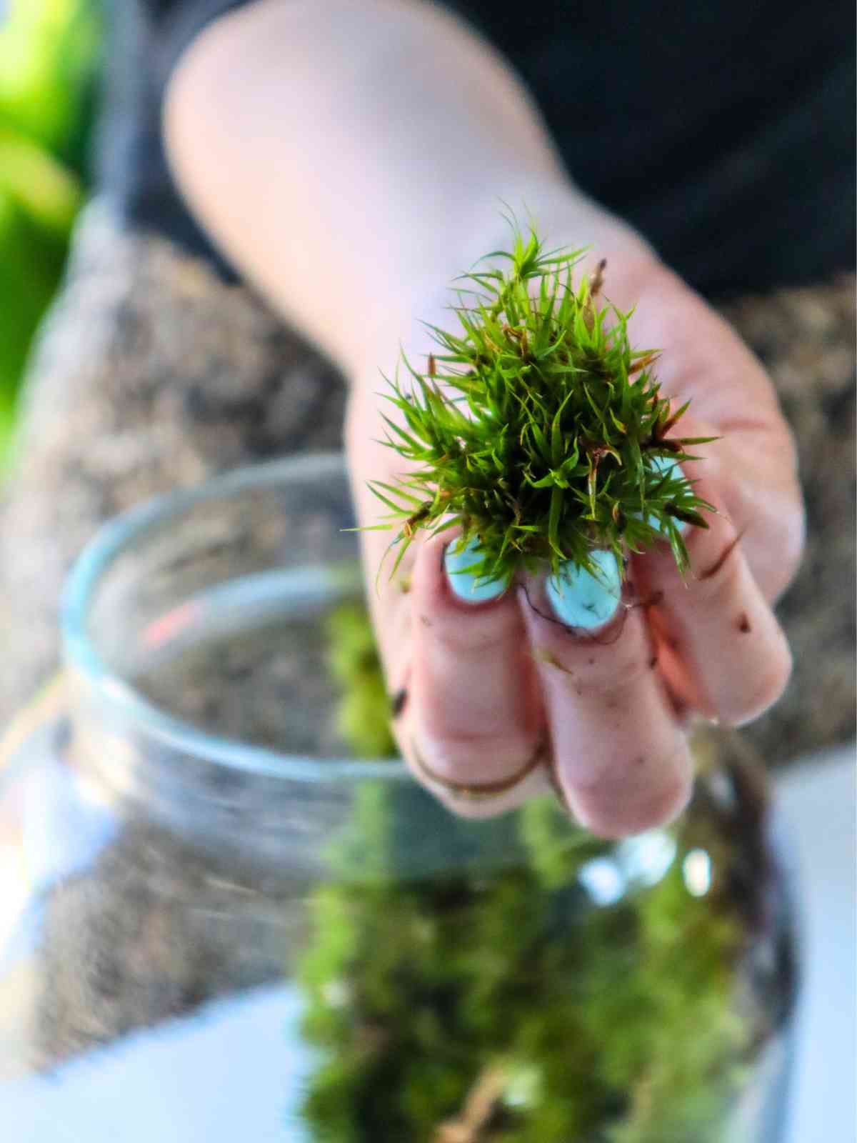 hand showing tropical moss