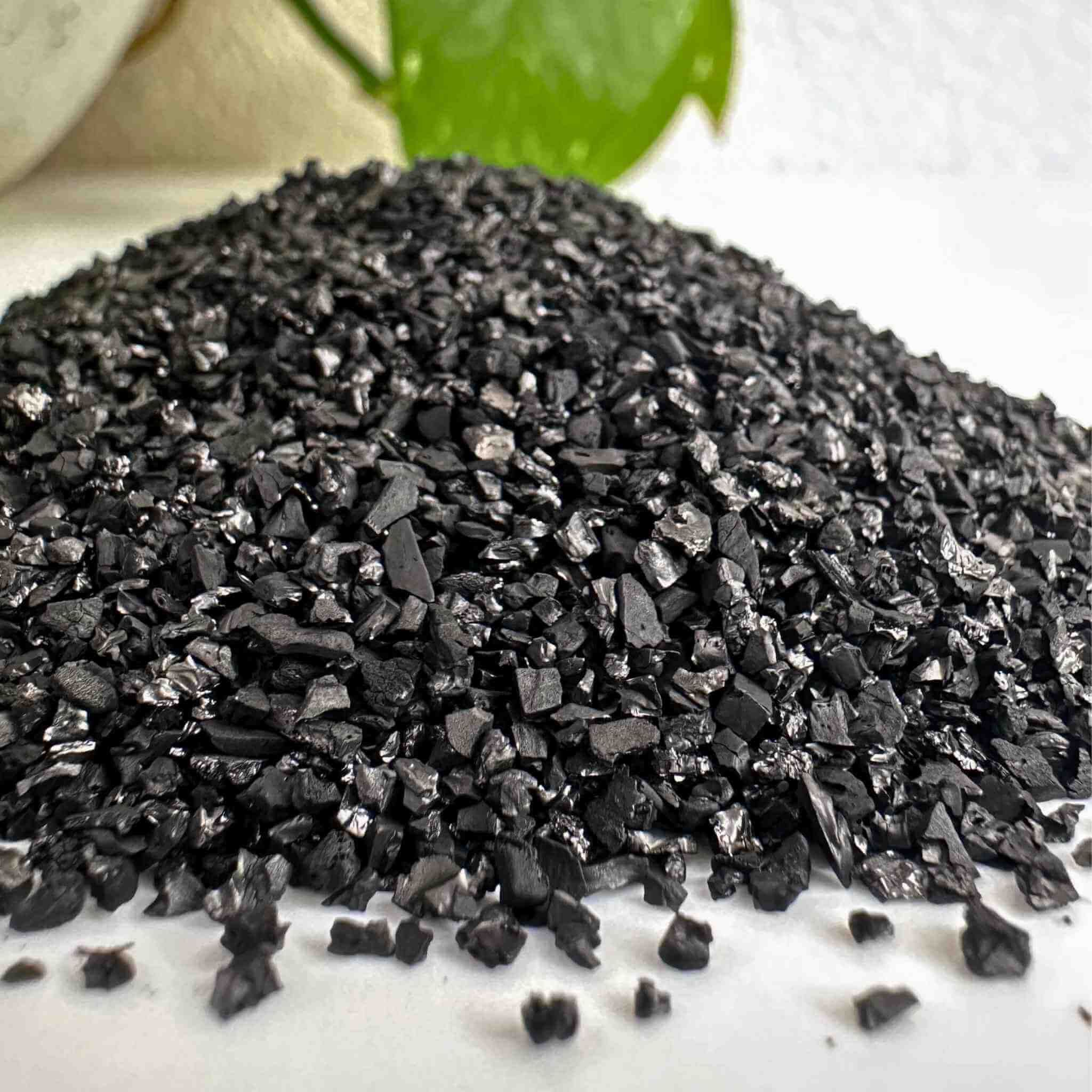 Activated Charcoal for Terrariums (Filter-Grade Coconut Carbon)