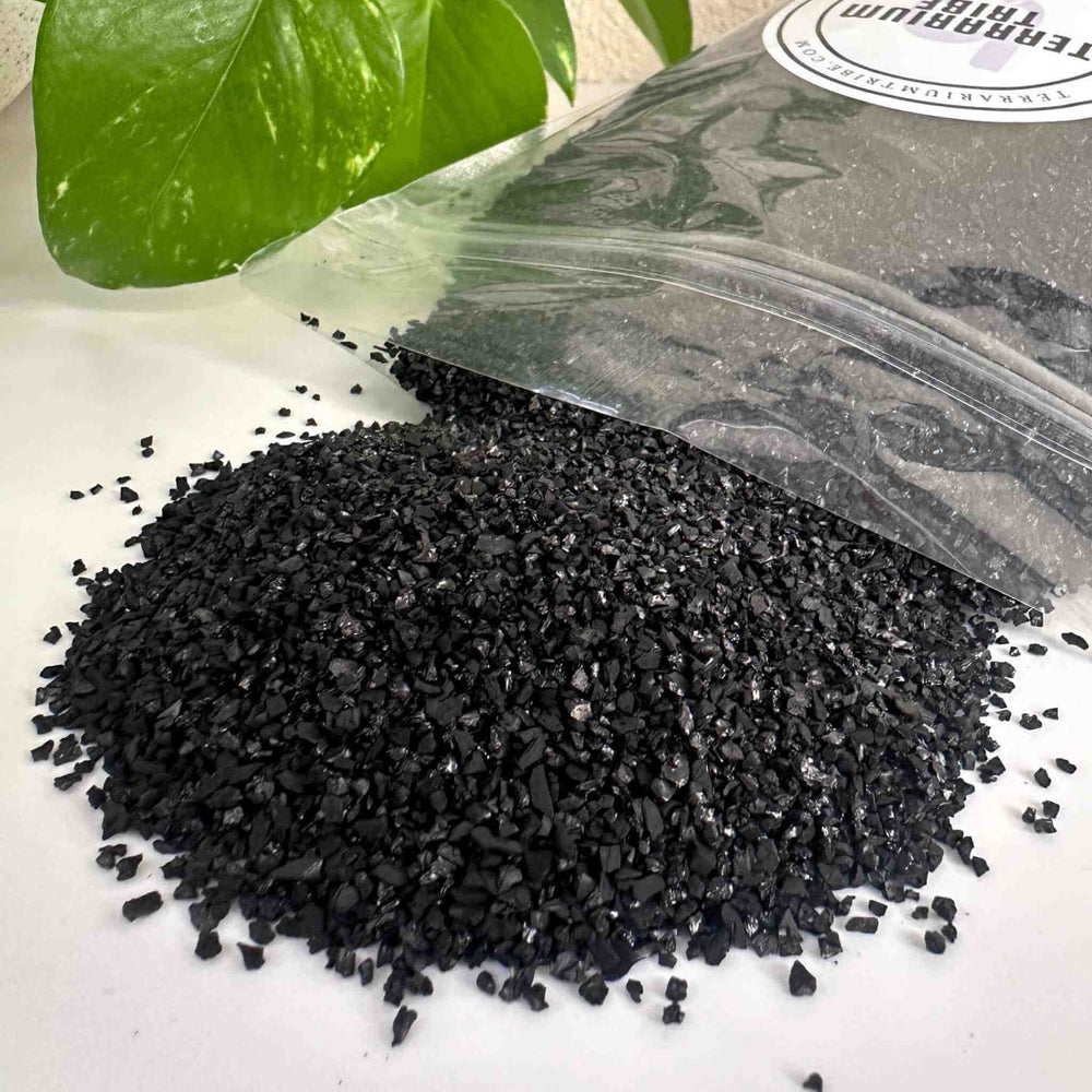 Activated Charcoal for Terrariums (FilterGrade Coconut Carbon)