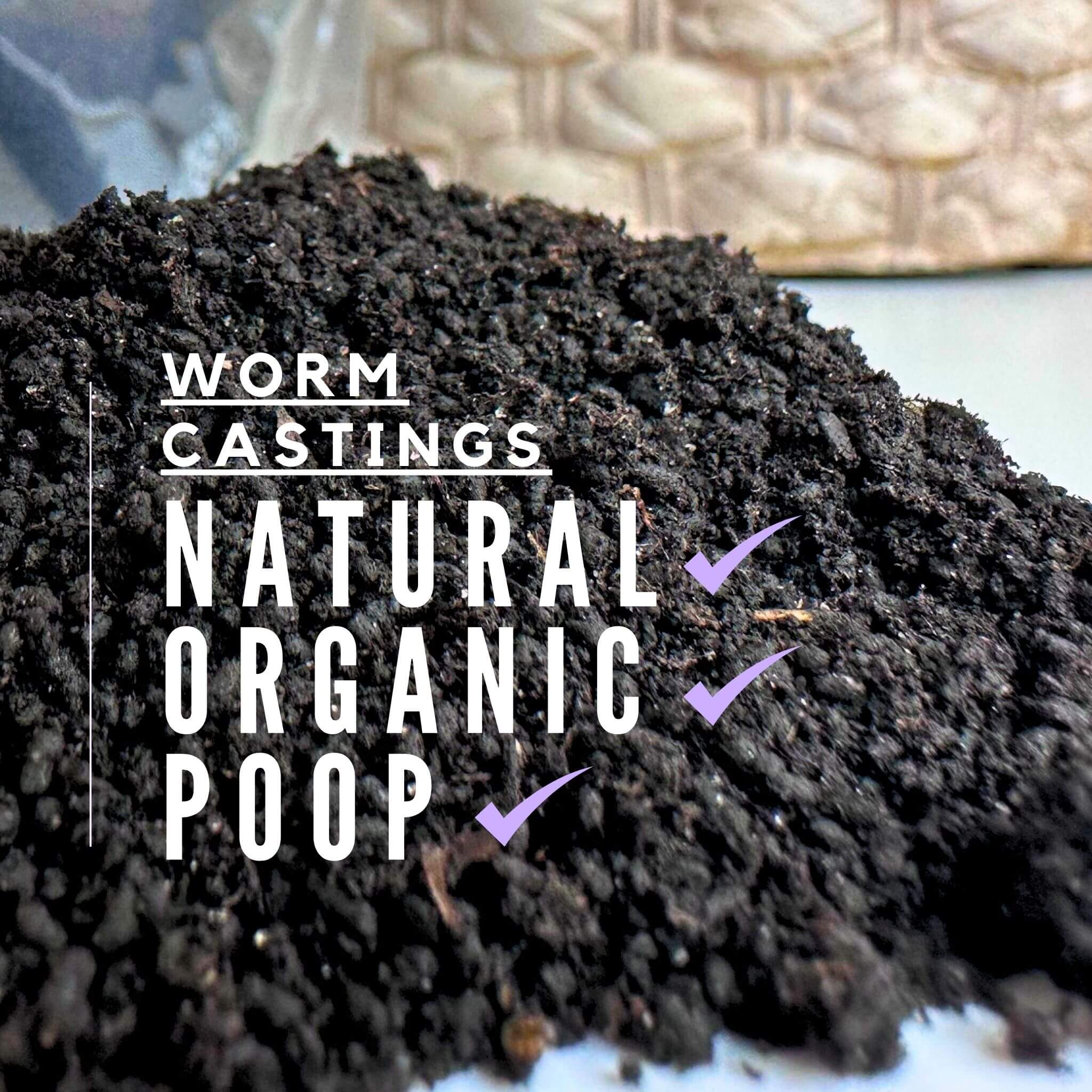 Worm Castings (Natural Organic Fertilizer)