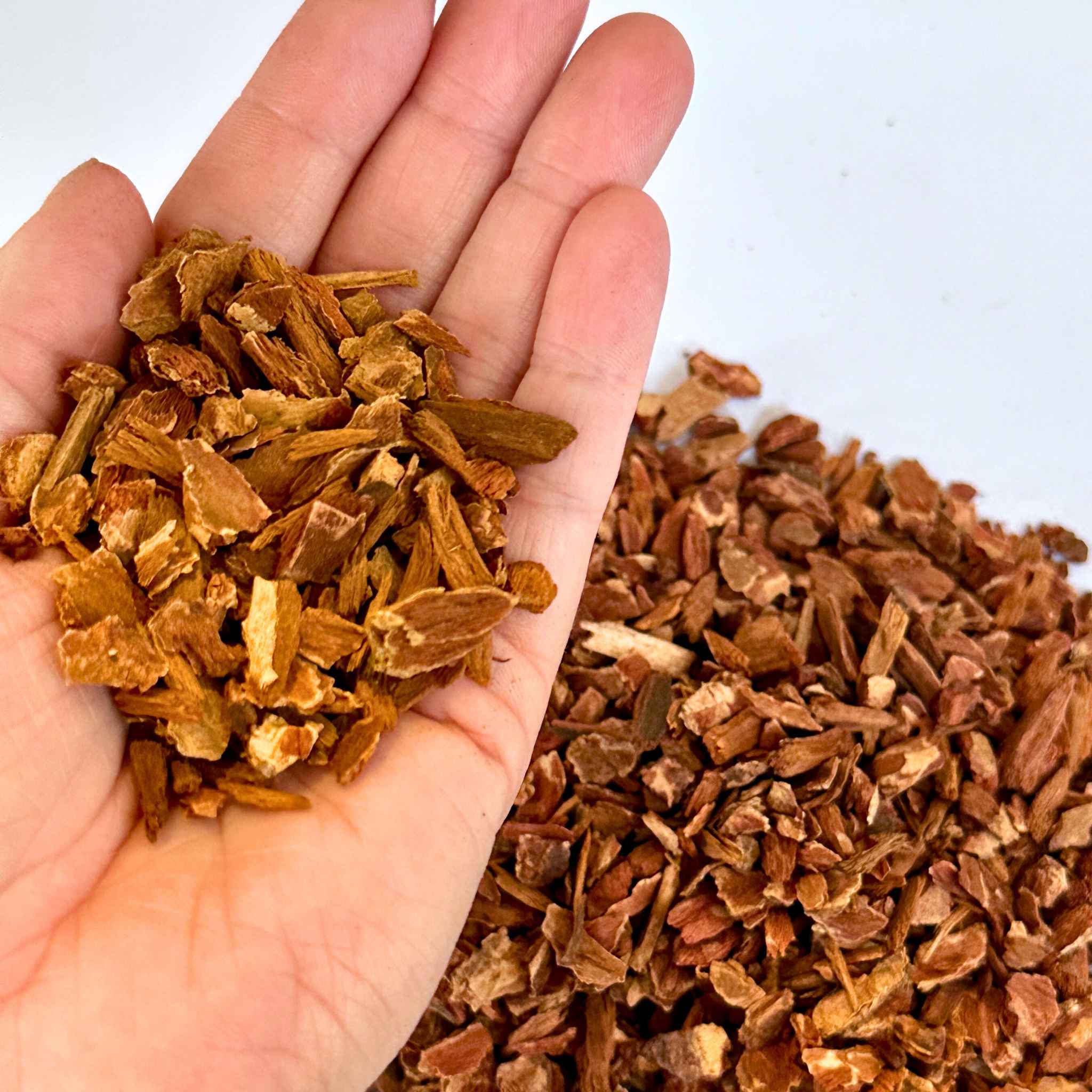 Orchid Bark (Fine Grade) | Heat-Treated