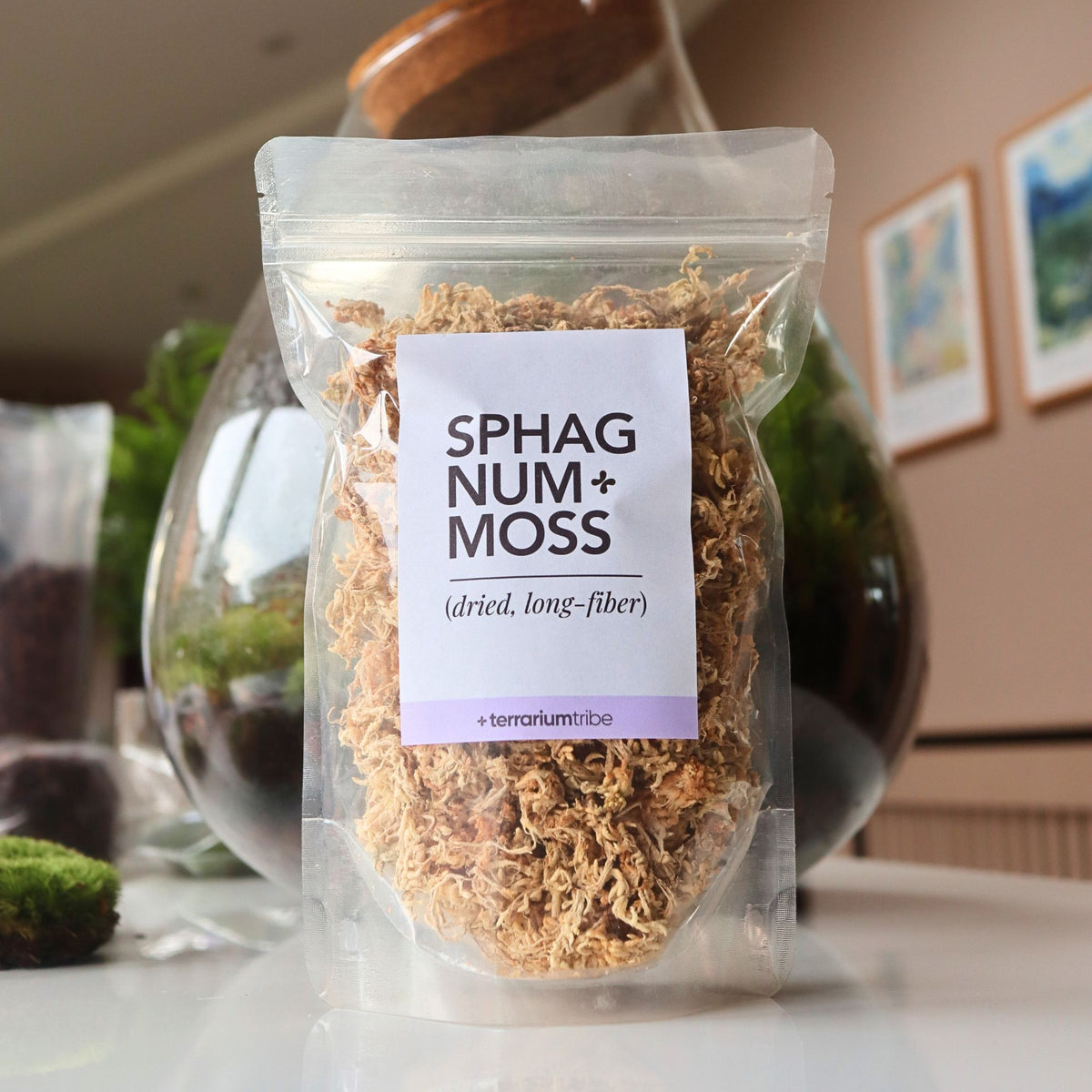 terrarium sphagnum moss for plants Sphagnum Moss (Premium Long-Fiber)