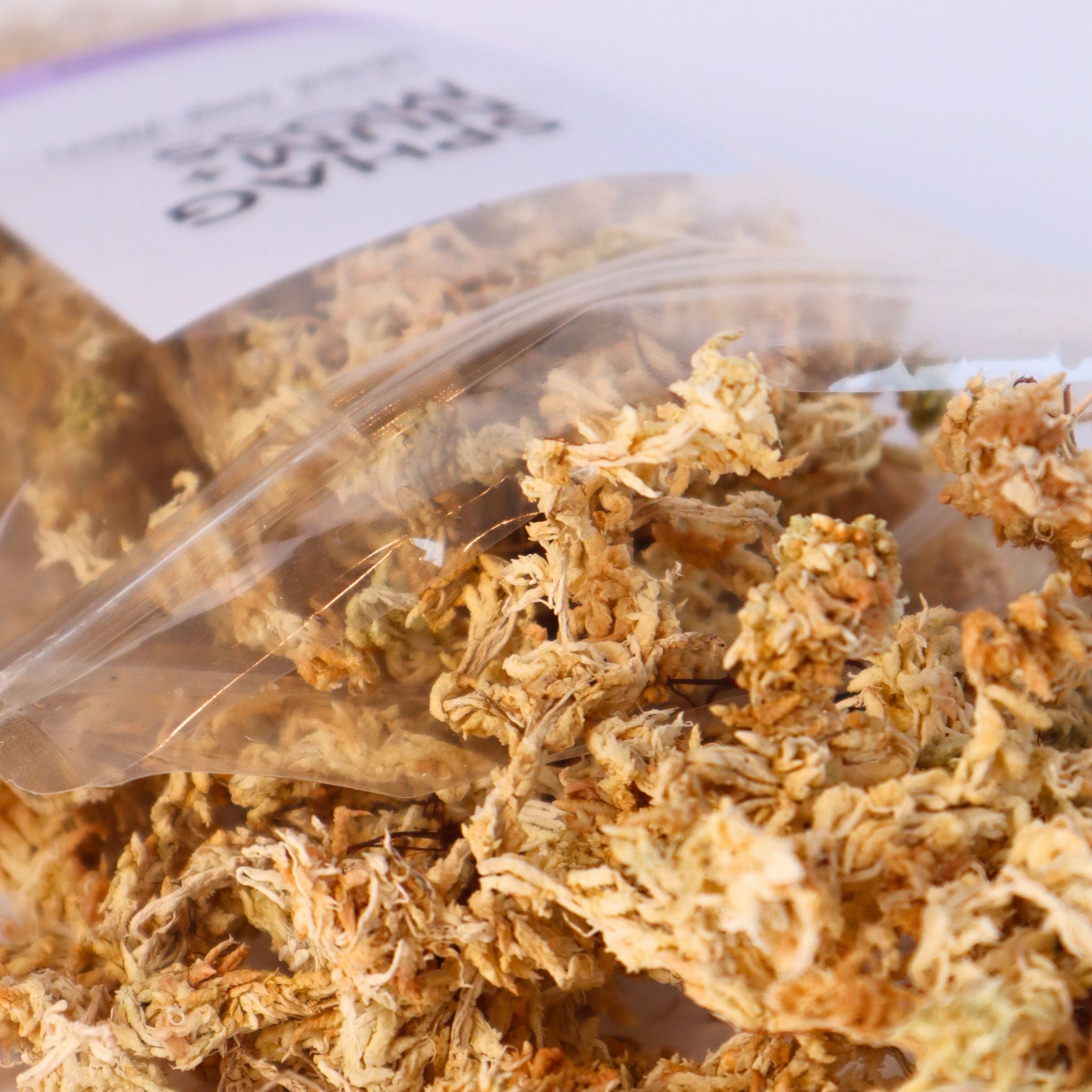 Sphagnum Moss (Premium Long-Fiber)