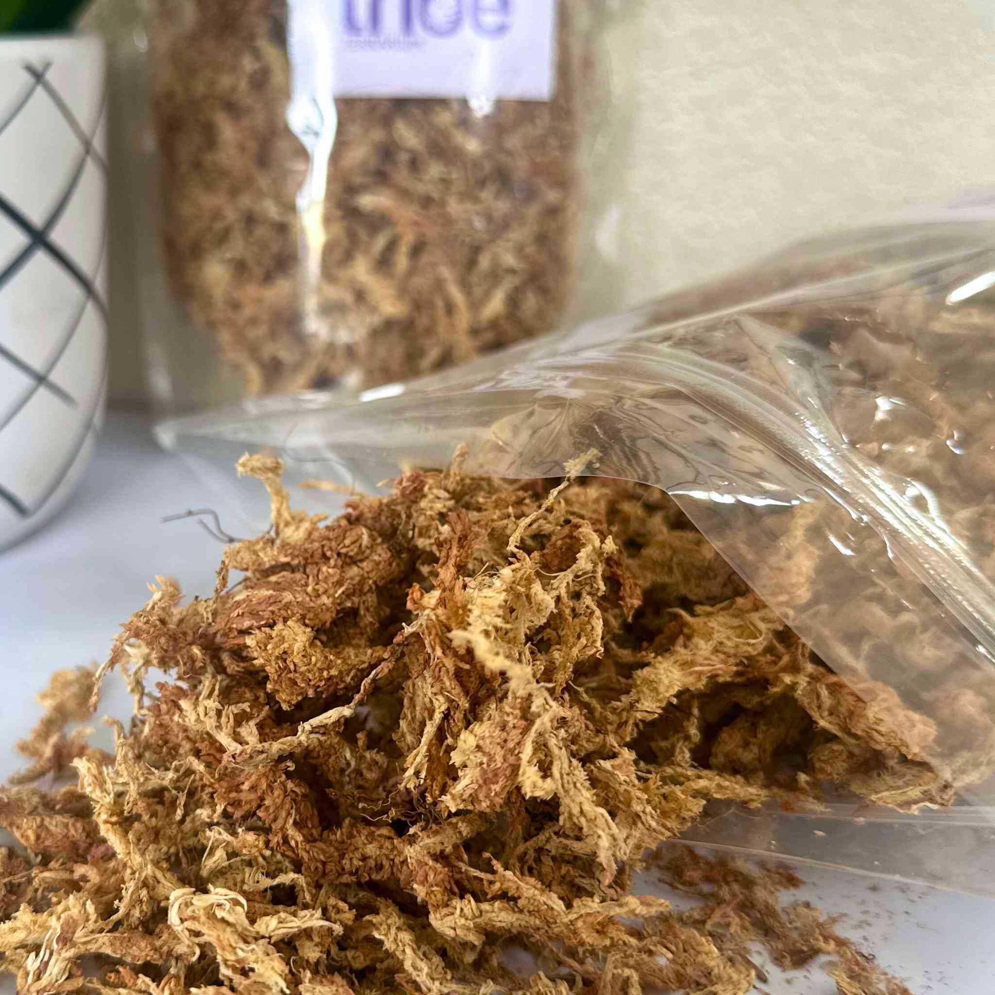 Sphagnum Moss (Premium Long-Fiber)