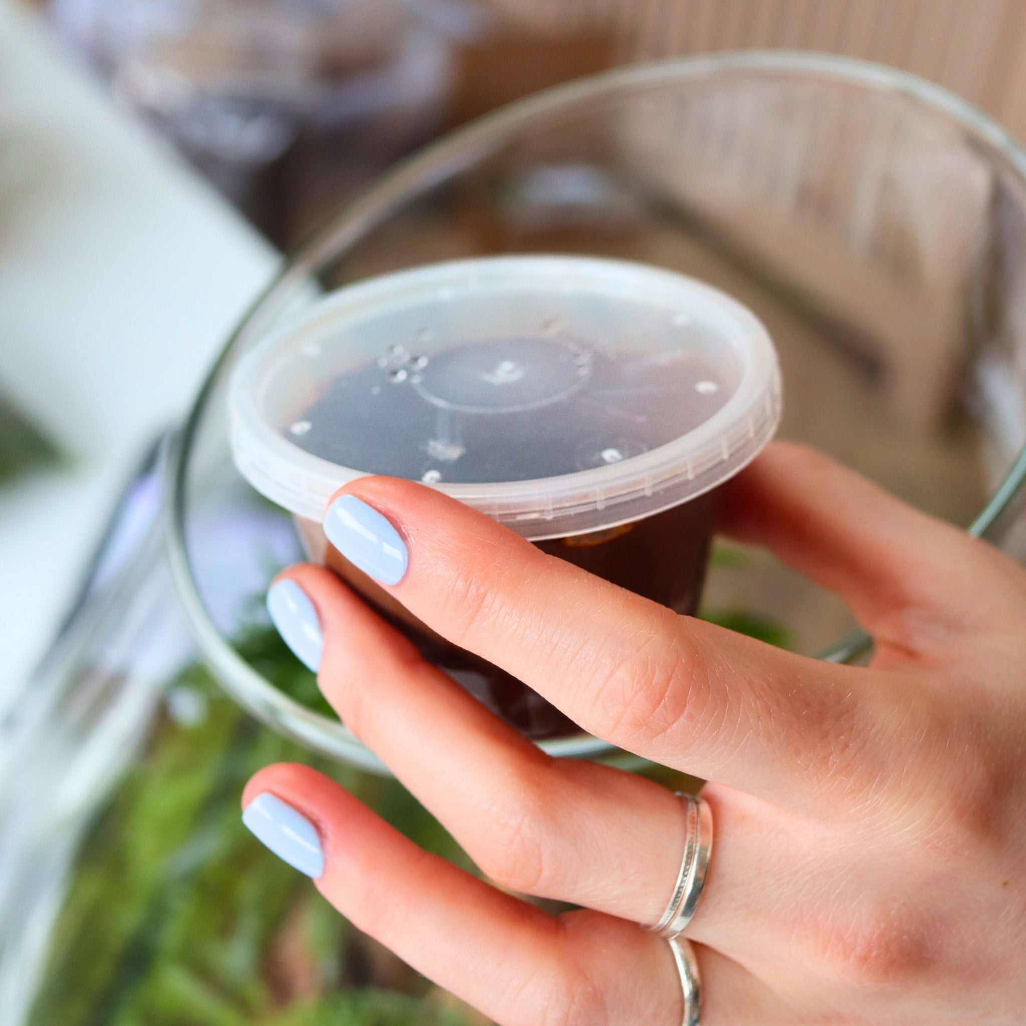 Live Springtails Culture for Terrariums (4oz tub)