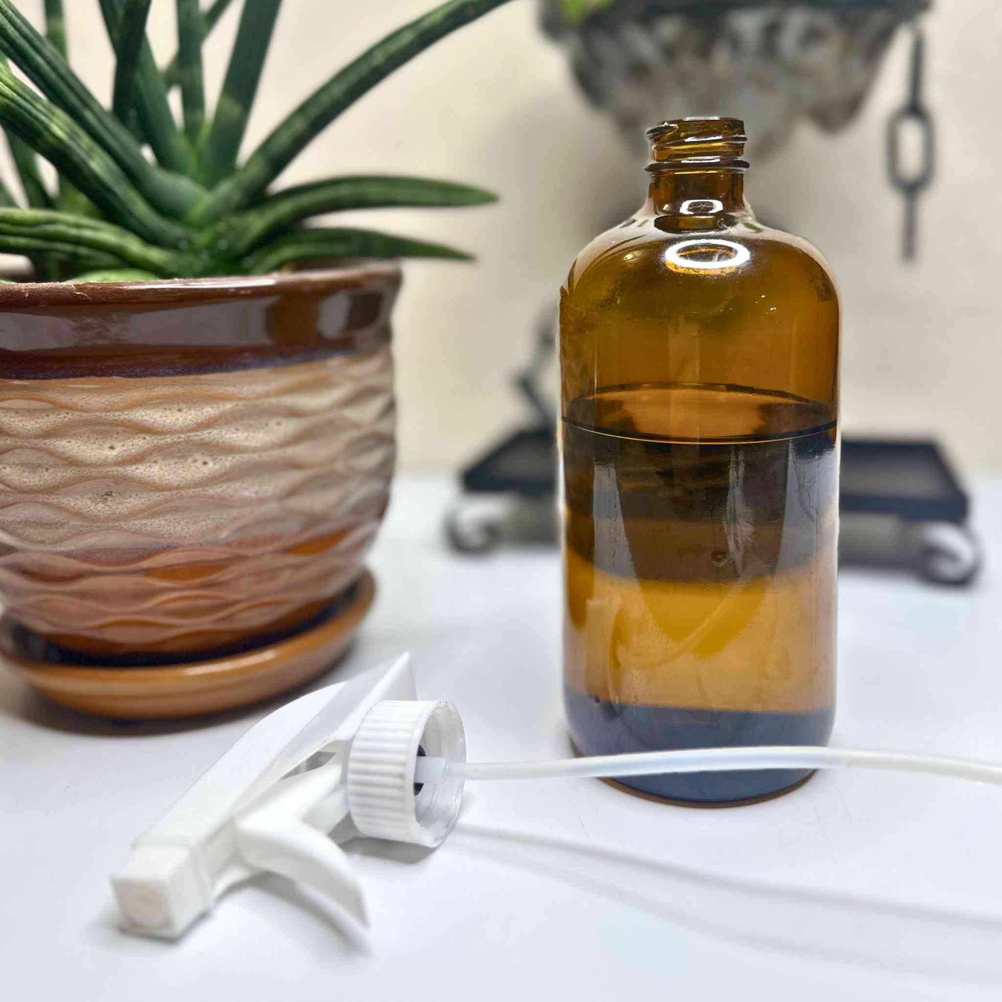 Terrarium Spray Bottle (16oz) | Amber Glass