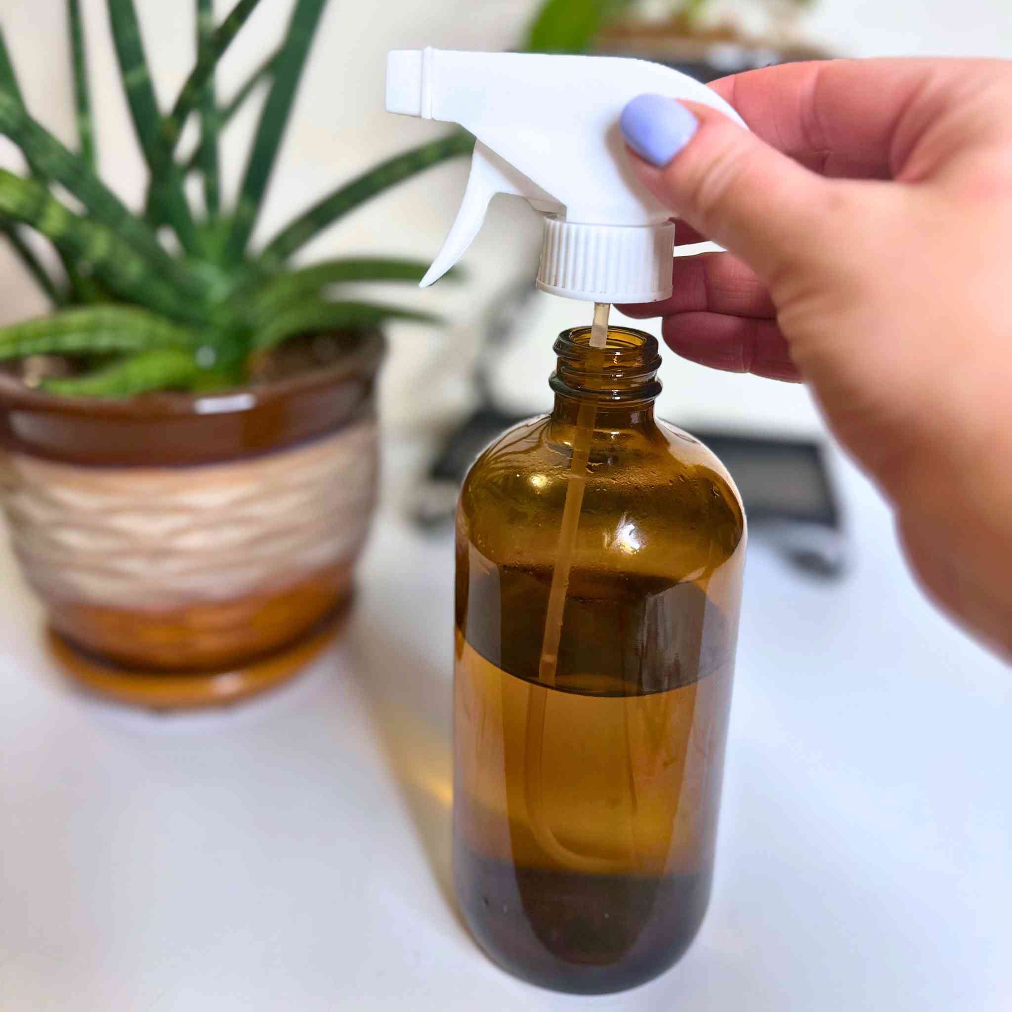 Terrarium Spray Bottle (16oz) | Amber Glass