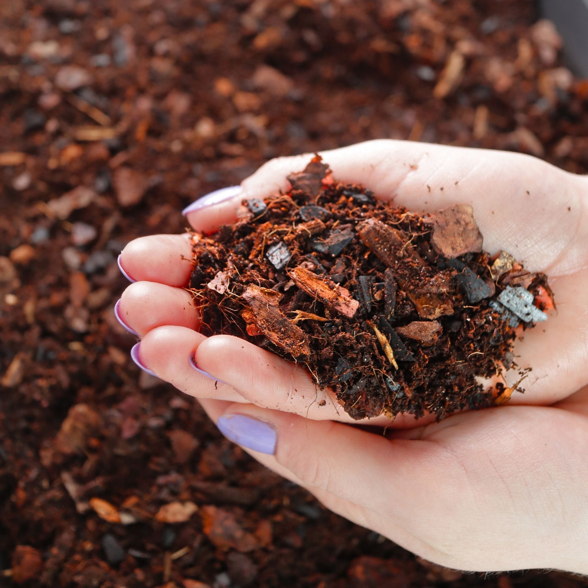 Terrarium Substrate Mix (Premium Blend)