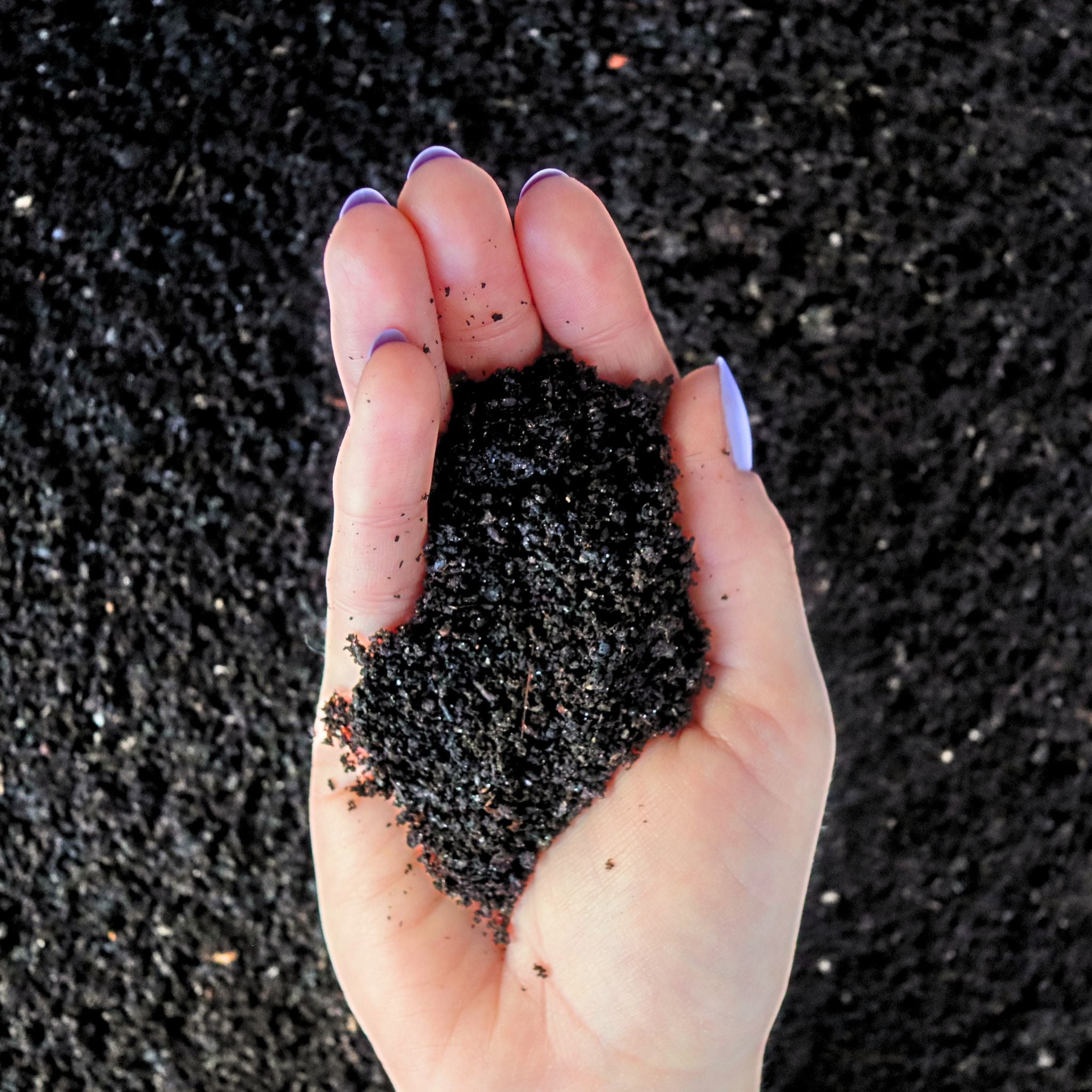 Worm Castings (Natural Organic Fertilizer)