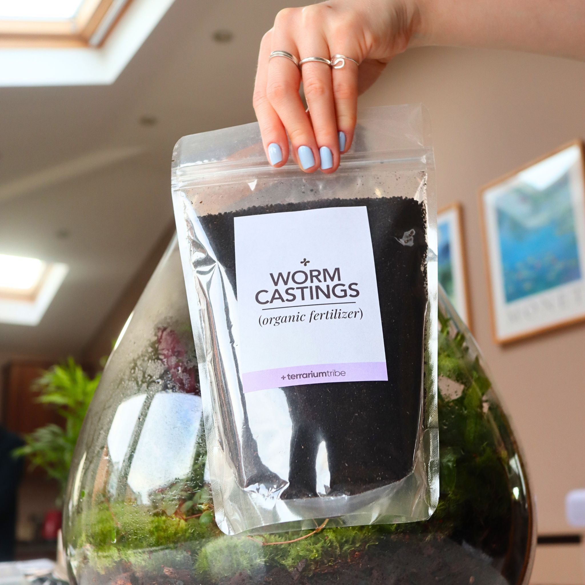 Worm Castings (Natural Organic Fertilizer)