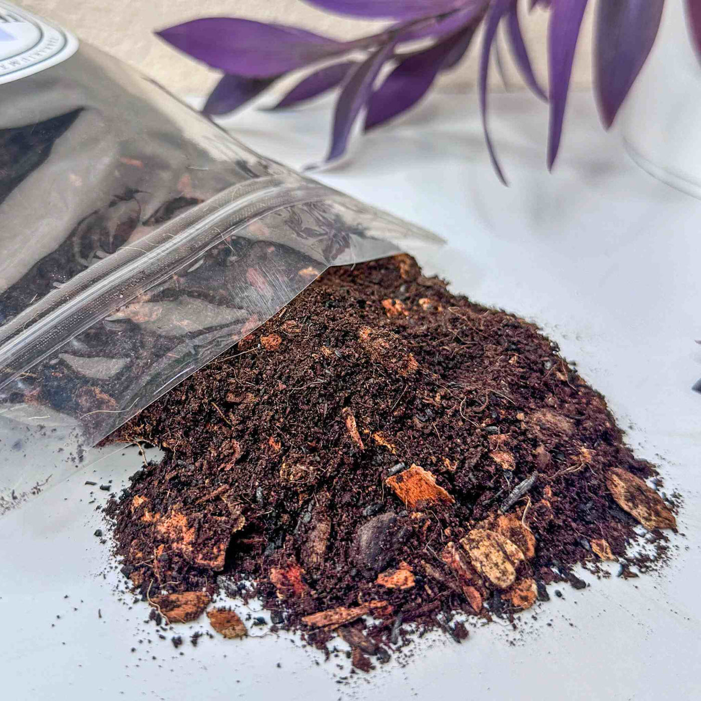 Premium Terrarium Substrate Mix Terrarium Tribe Tropical