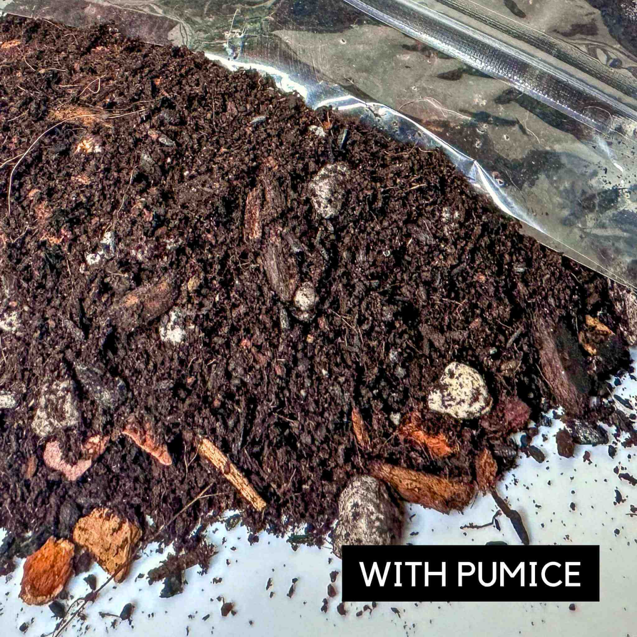Terrarium-Mix 1 Liter – Spezial-Substrat Für Geschlossene Terrarien, Vivarien & Tropische Mini-Ökosysteme